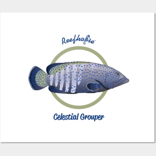 Celestial Grouper Posters and Art